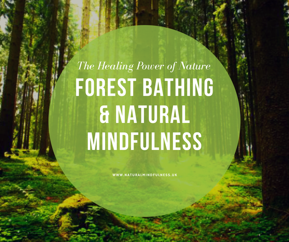 Forest Bathing - Natural Mindfulness